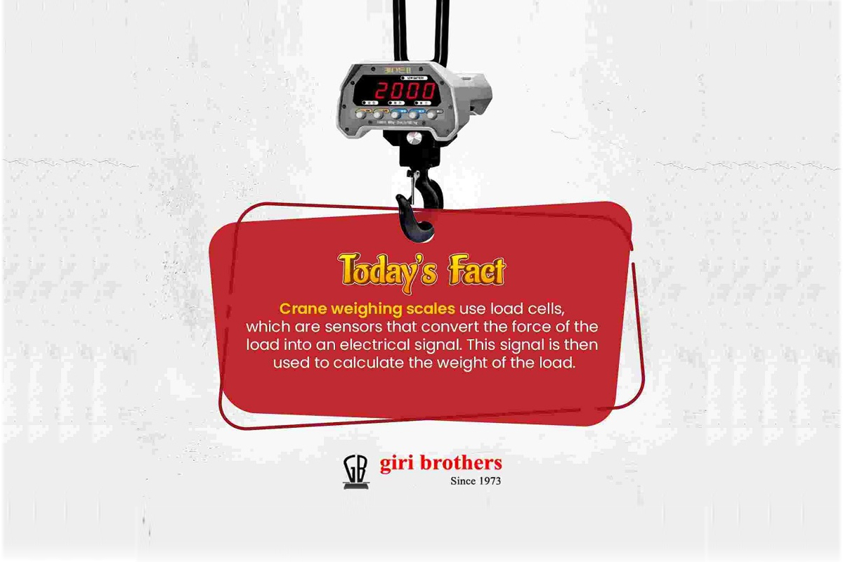 Todays fact on scales