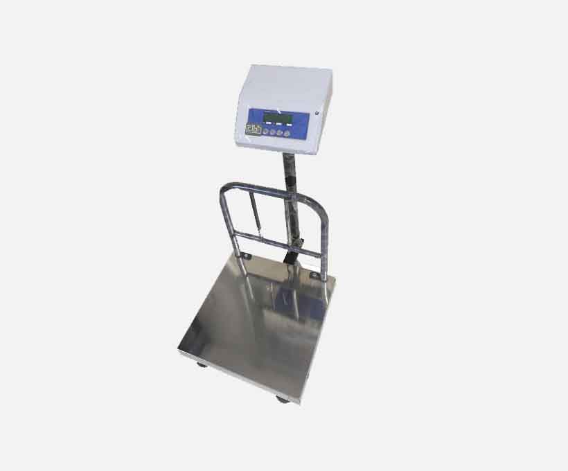 Economy Platform Weighing Scale.