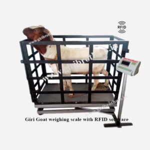 Goat Weighing Machine.