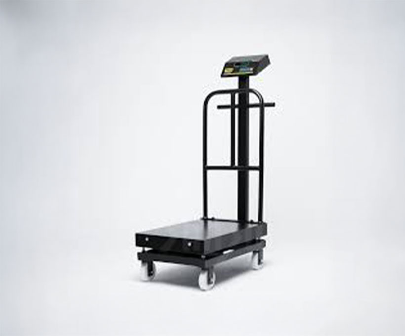 DPW Weighing Machine With Wheels.