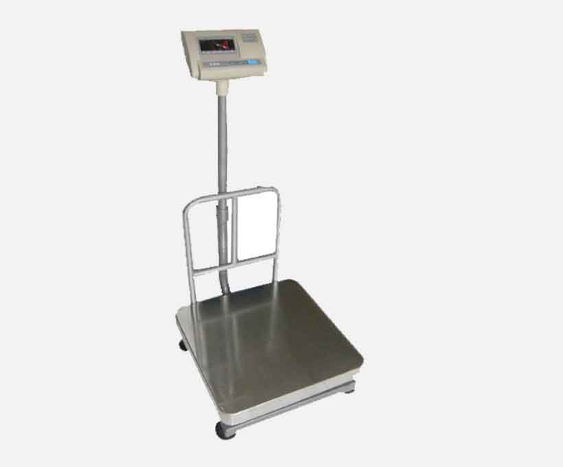 CAS DZ Simple Platform Weighing Scale.
