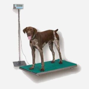 Dog Weighing Machine