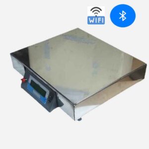 DTPW Industrial Bench Scale.