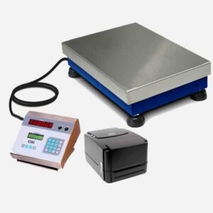 Industrial Label Printing Scale.