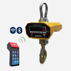 DCE Smart Crane Weighing Scale.