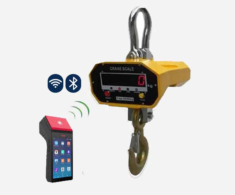DCE Smart Crane Weighing Scale.
