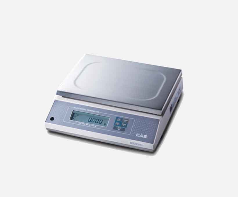 Industrial Precision Balance.