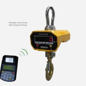 DCS Molten Metal Crane Weighing Scale.