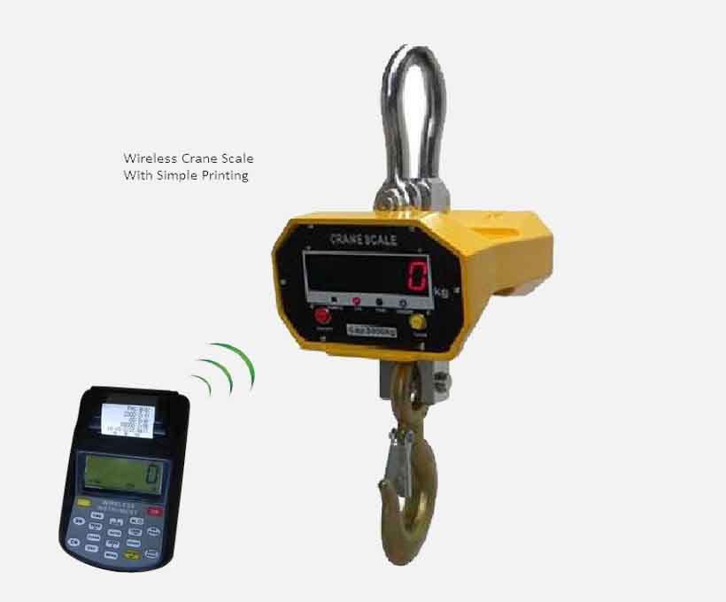 DCS Molten Metal Crane Weighing Scale.