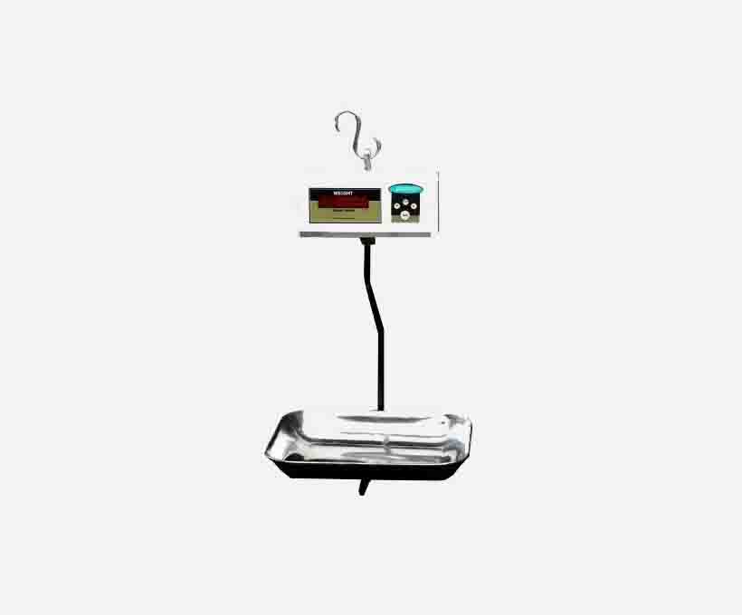 Digital Hanging Scale.