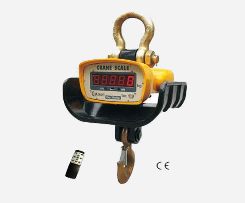 DCS Molten Metal Crane Weighing Scale.