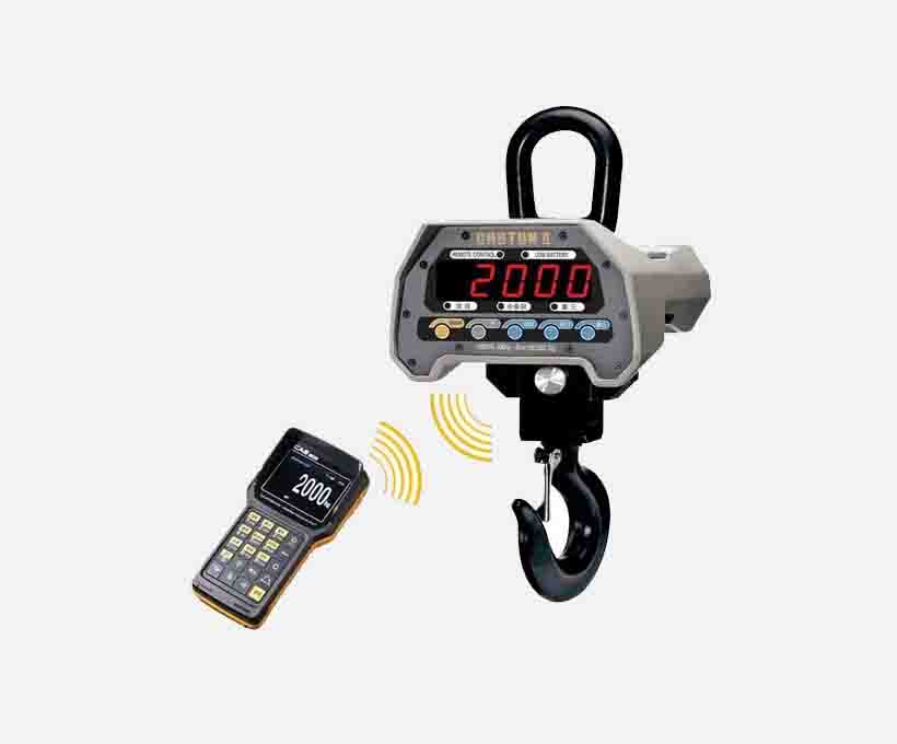 Industrial Crane Weighing Scale.