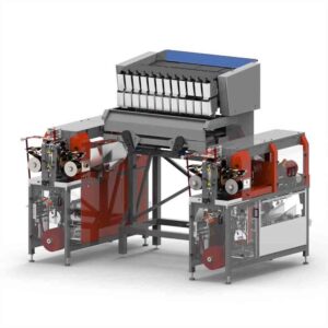 Automatic Vegetable Packing Machine.